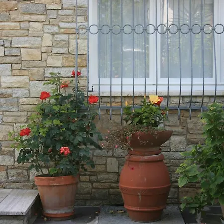 Bed and breakfast Ortensia