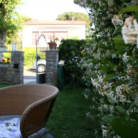 Ortensia Forte dei Marmi