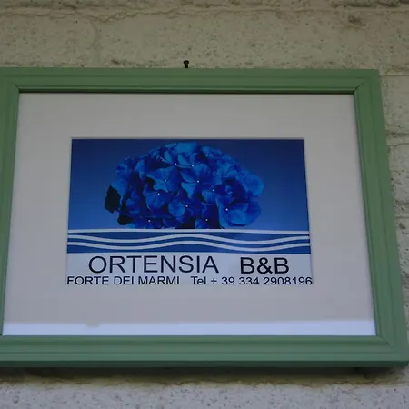 Bed and breakfast Ortensia Forte dei Marmi