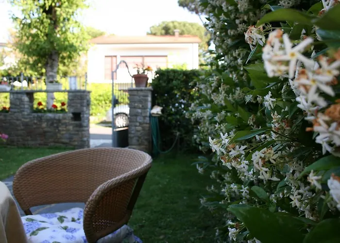 Ortensia Forte dei Marmi